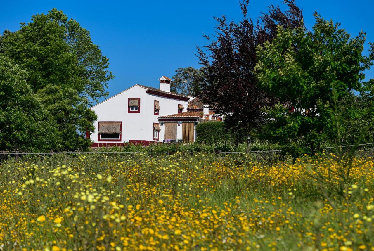 Quinta Da Dourada Hotel Portalegre Bagian luar foto